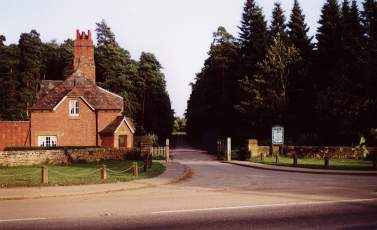 Harlestone Firs