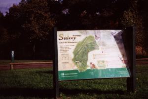 Salcey Forest